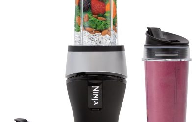 Best fruit smoothie blender reviews for amazing drinks