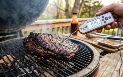Best barbeque meat thermometer guide for ultimate perfection