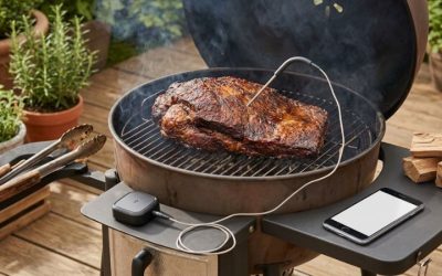 5 Best bluetooth meat thermometers for smokers: Ideal Master