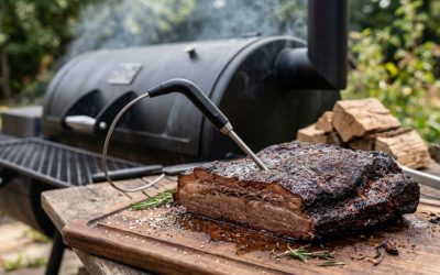 5 Best bluetooth meat thermometers for smoking: top guide
