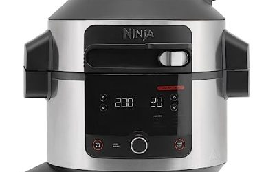 Review: Ninja Foodi 11-in-1 Pro Pressure Cooker & Air Fryer